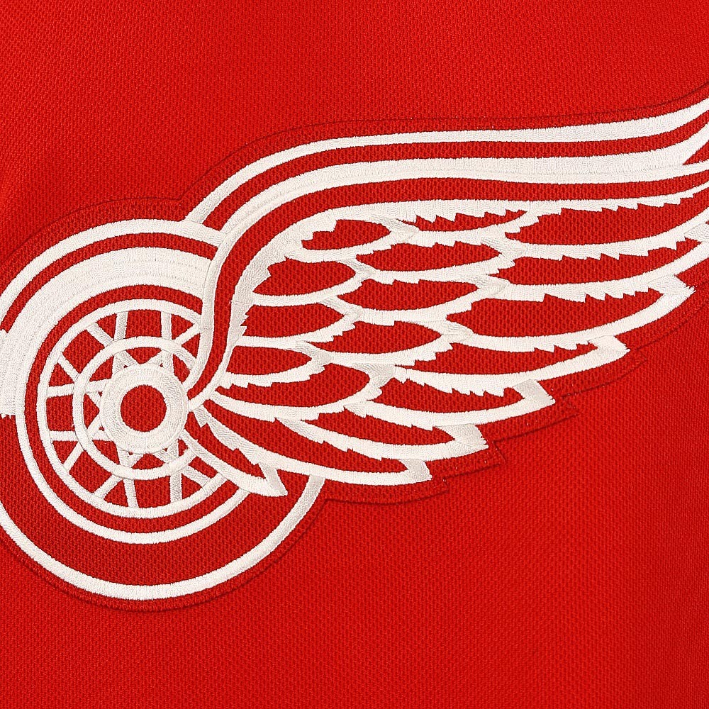 Nhl Detroit Red Wings Hockey Jersey Liostrom #5