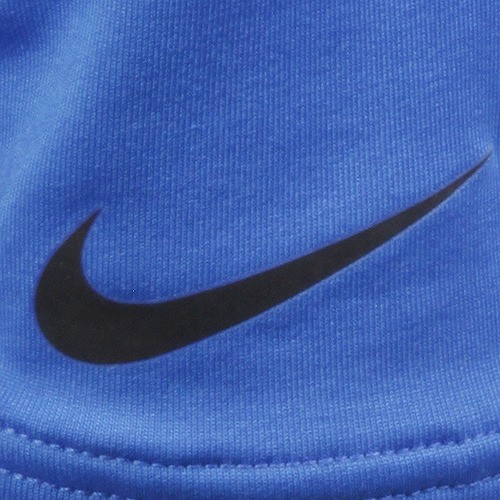 Nike, Shirts, Nike Large Detroit Lions Polo Nike Drifit