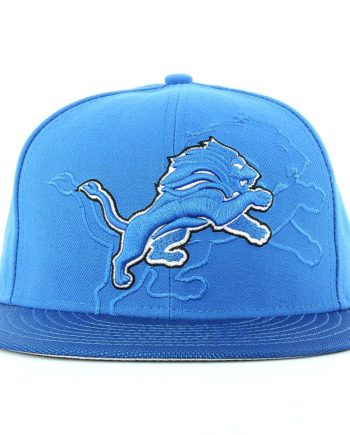 Vintage Detroit Lions Pinstripe Hat – Brandon's Vintage Basement