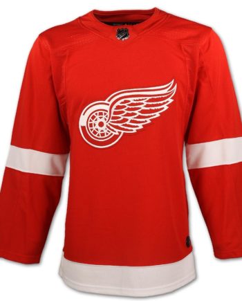 NHL Detroit Red Wings Custom Name Number Veterans Day Camo 2019 Practice  Jersey Pullover Hoodie