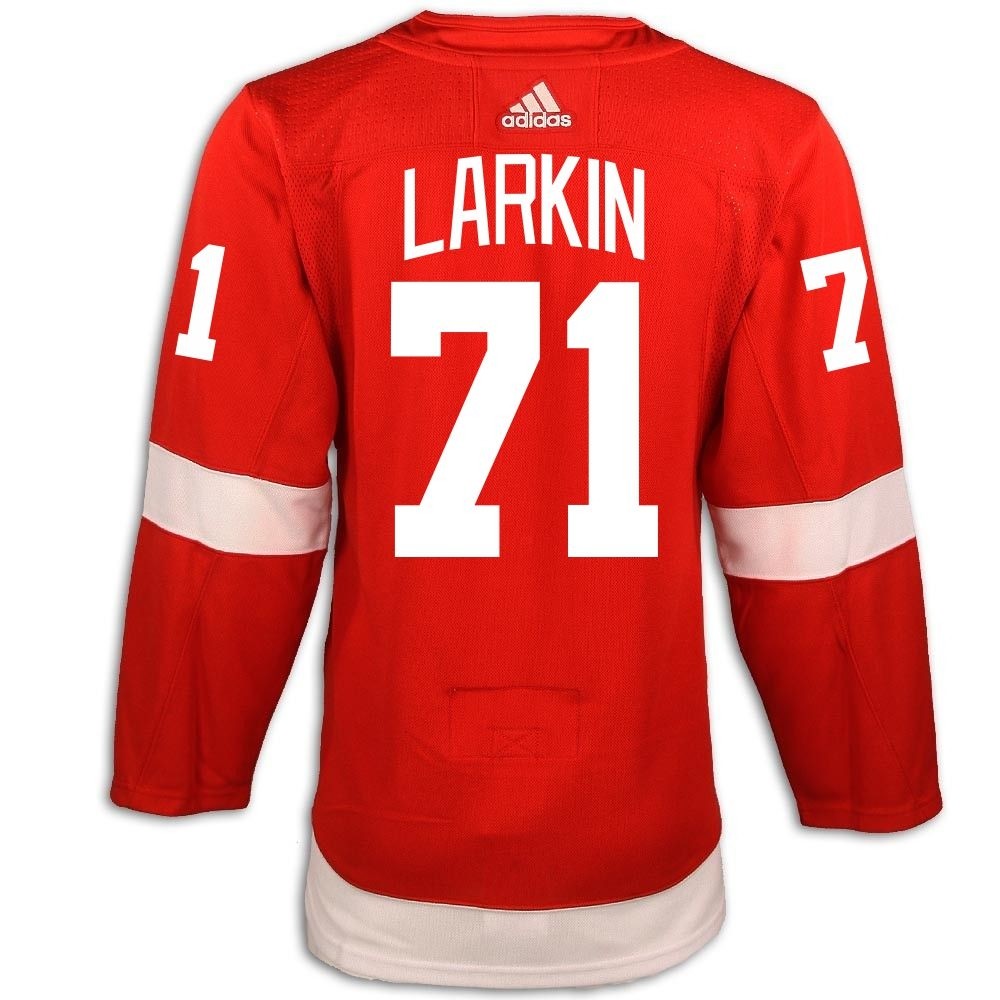Dylan Larkin #71 C Detroit Red Wings Adidas Home Primegreen Authentic Jersey  - Vintage Detroit Collection