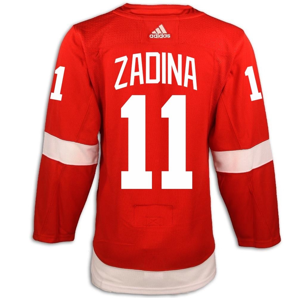 Filip Zadina #11 Detroit Red Wings Adidas Home Primegreen Authentic Jersey  - Vintage Detroit Collection