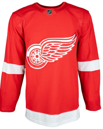 Detroit Red Wings - Moritz Seider Sticks Gray NHL T-Shirt :: FansMania